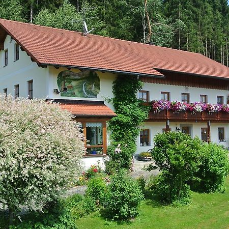 Haus Am Waldrand - Ferienwohnung Augustin غرافناو المظهر الخارجي الصورة